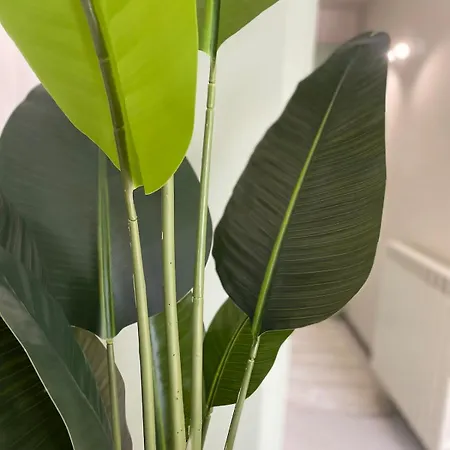 Lakefront With Panoramic Pool Apartmán *