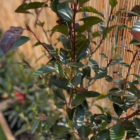Apartmán Lakefront With Panoramic Pool